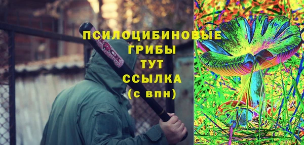 СК Волоколамск