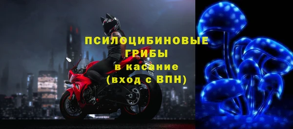 СК Волоколамск