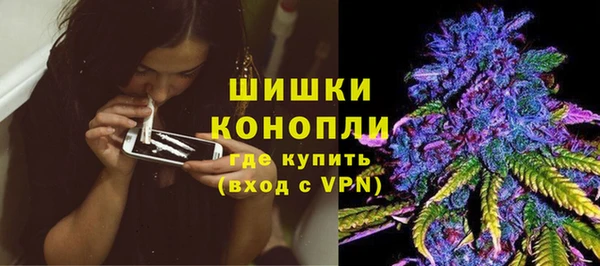 прущие грибы Верхнеуральск