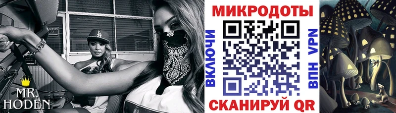 Псилоцибиновые грибы мухоморы  Камызяк 